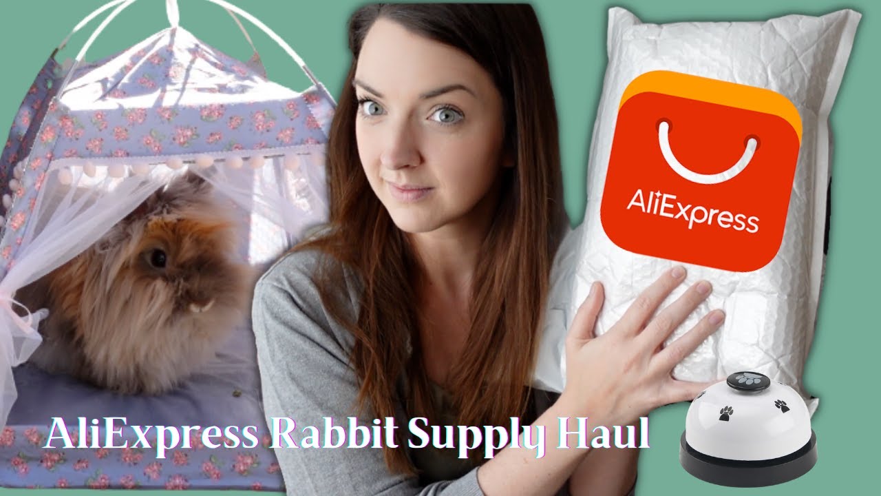 ALIEXPRESS RABBIT SUPPLY HAUL | Woodshed Theory