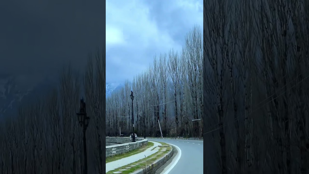 Beautiful drive around Dal Lake Srinagar, Kashmir #shorts #ytshorts #dallake #srinagar #kashmir