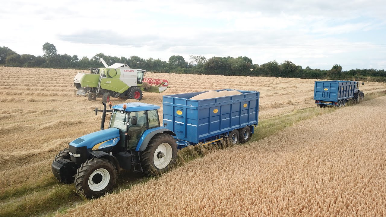 SPRING BARLEY 2020 | CLAAS TUCANO 440