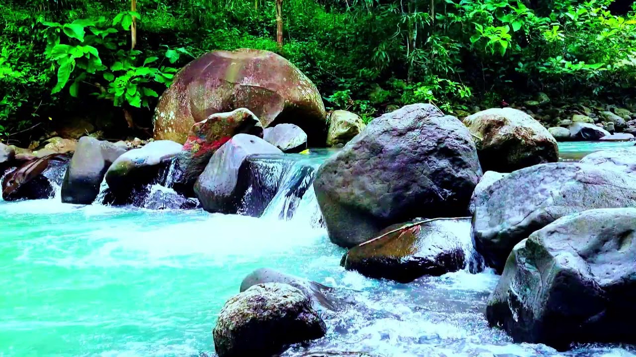 Serene River and Bird ASMR - Natural Ambience for Sleep, Studying, and Calm Focus