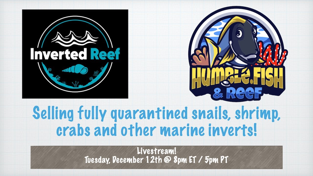 Humblefish & Friends - Inverted Reef