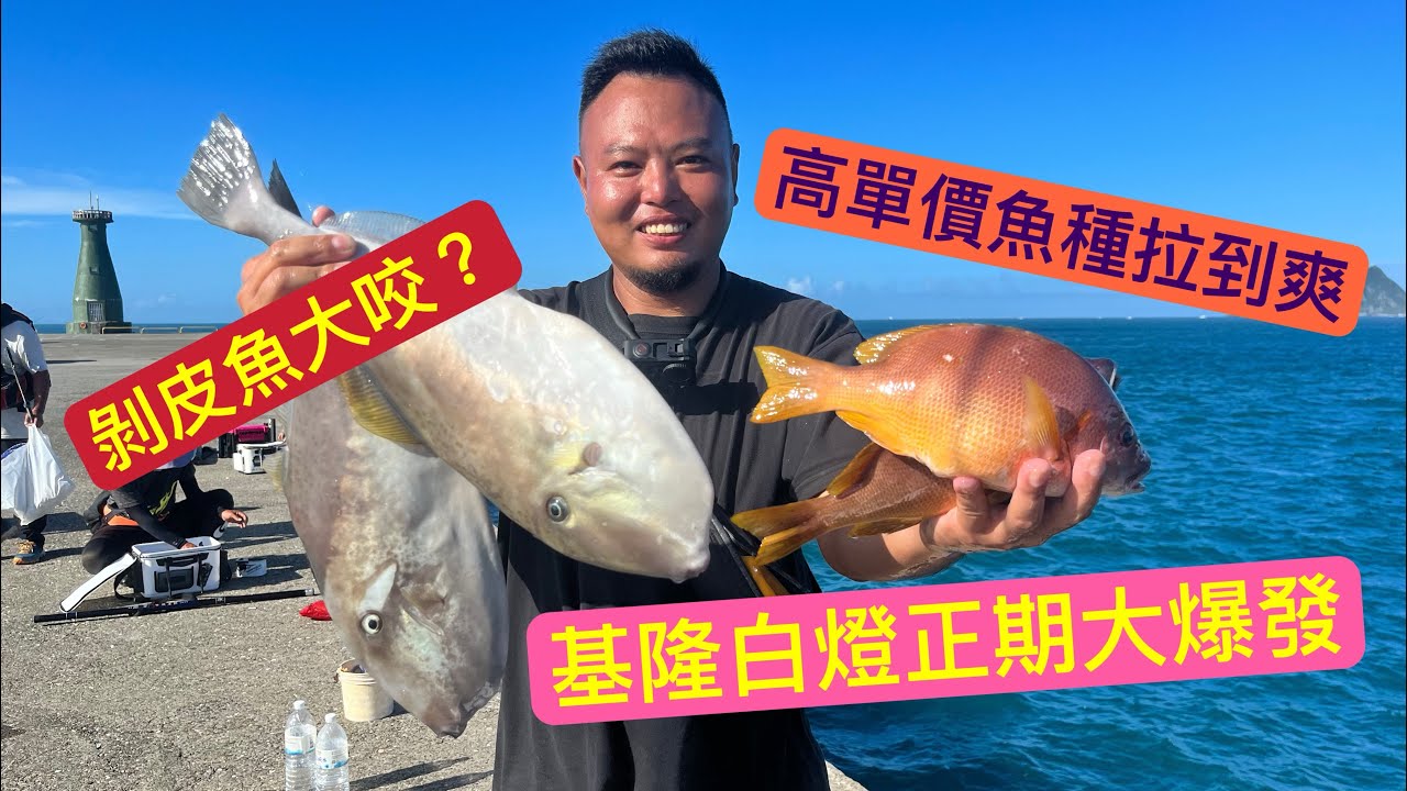 基隆白燈磯釣 鐵板季開跑 剝皮魚自由 白星笛鯛滿海都是太誇張#基隆白燈 #fishing #磯釣 #剝皮魚 #白星笛鯛 #紅甘 #岸拋 #鐵板 #海男釣魚頻道