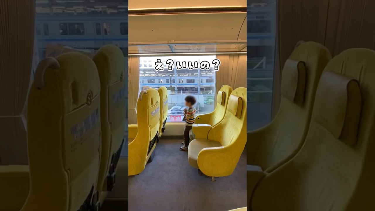 【400万回再生】300円で？！特急列車の旅。#子連れ#子連れお出かけ #特急列車 #子鉄 #shorts