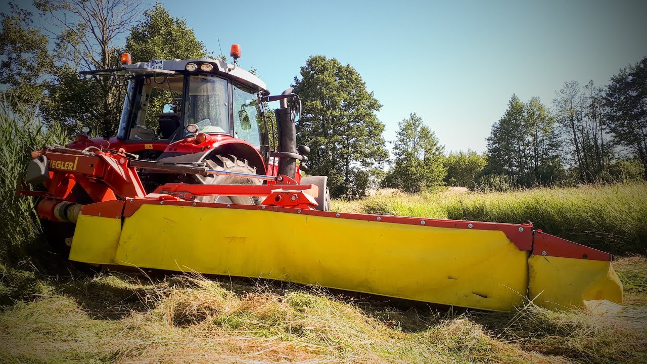 Koszenie traw 2018 z [AgroGZ] Massey Ferguson & Ziegler POWERDISC
