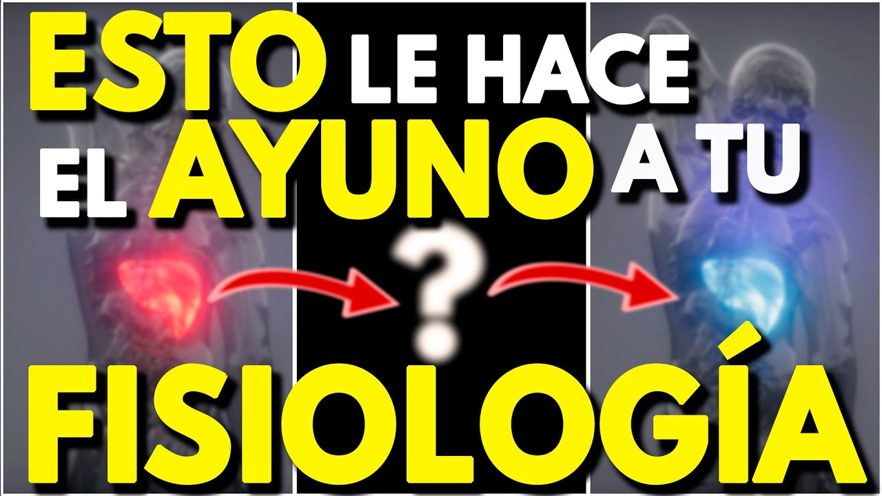 La FISIOLOGÍA Del AYUNO INTERMITENTE Explicada