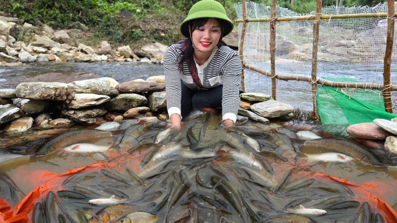 Set giant traps to catch giant mutant carp in the river | Em Tên Toan