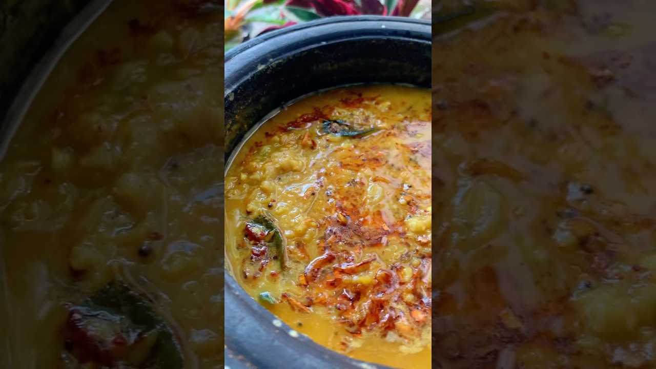 Dhal Curry 🤤 මේ වගේ රසට පරිප්පු කරියක් හදල තියෙනවද Dhal Masala Curry #asmr #india #shorts