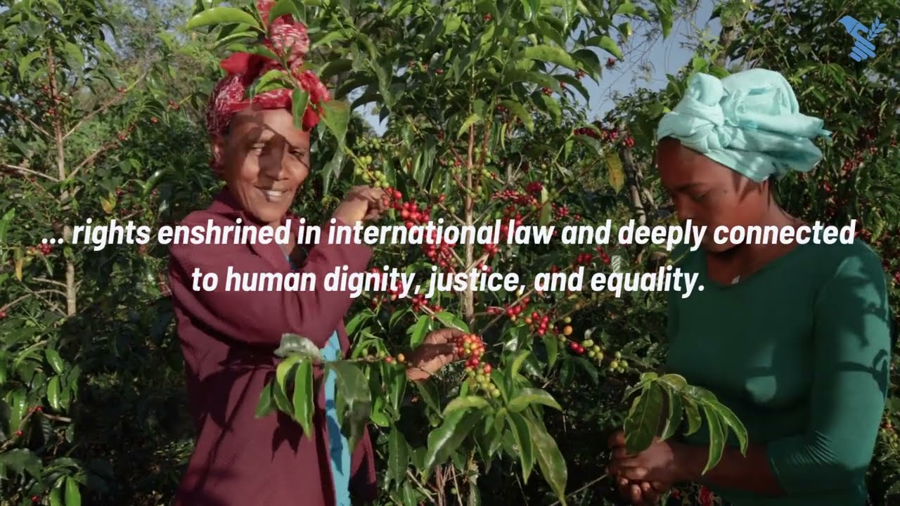 2025 International Labour Day