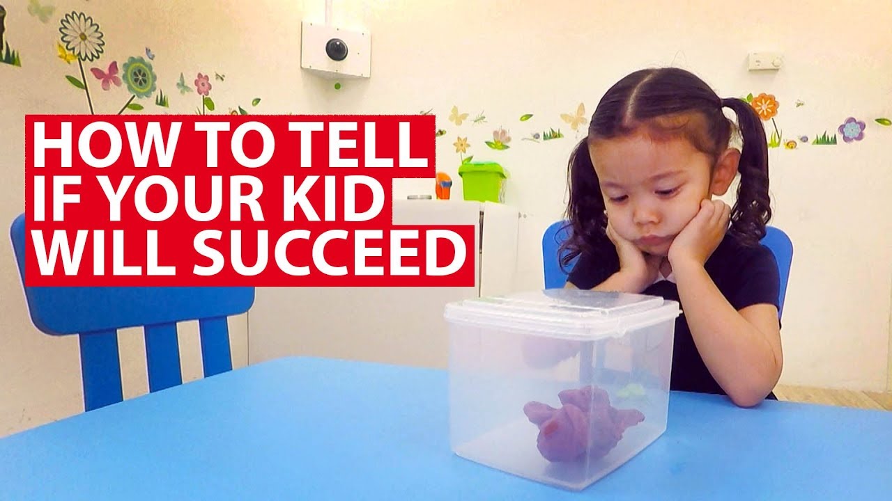 How To Tell If Your Kid Will Succeed | CNA Insider