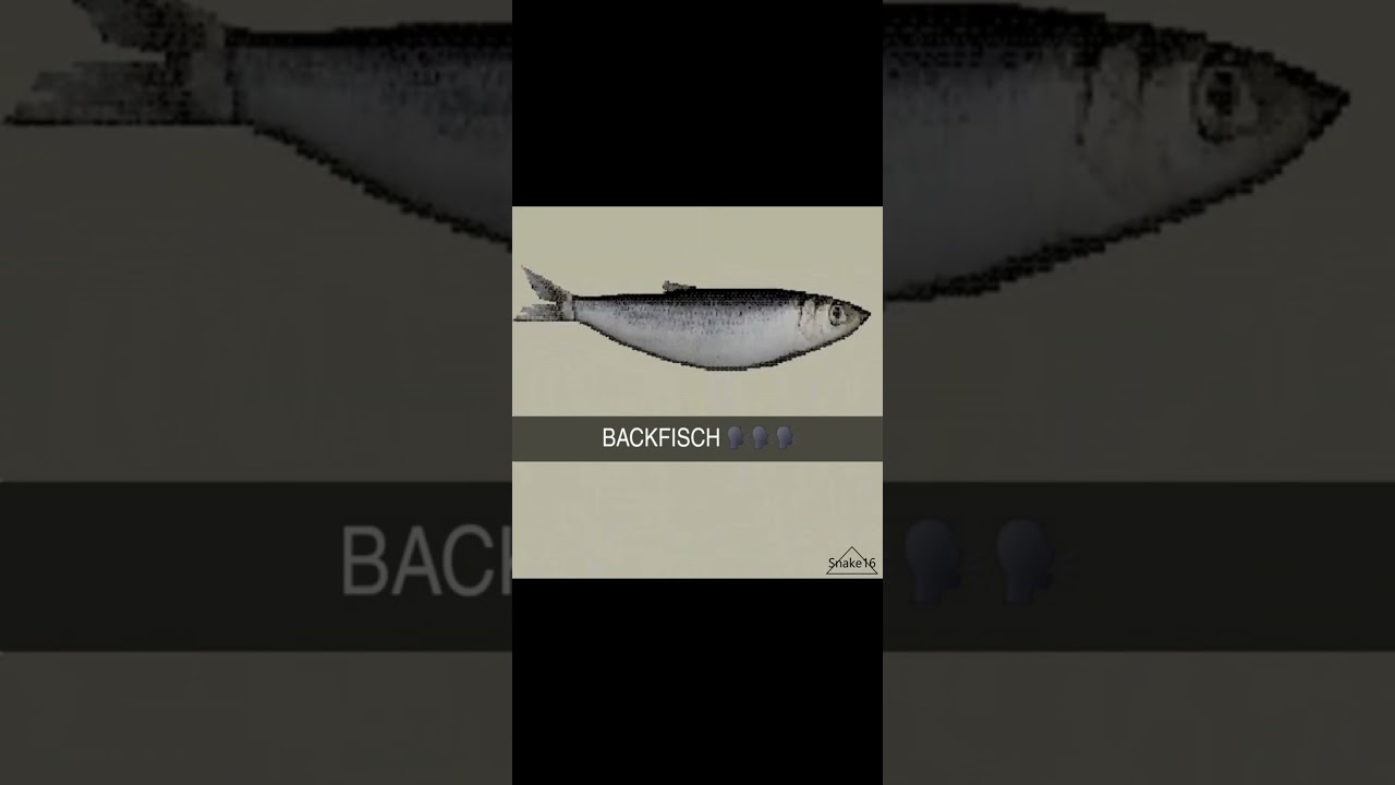 BACKFISCH Zarbex song