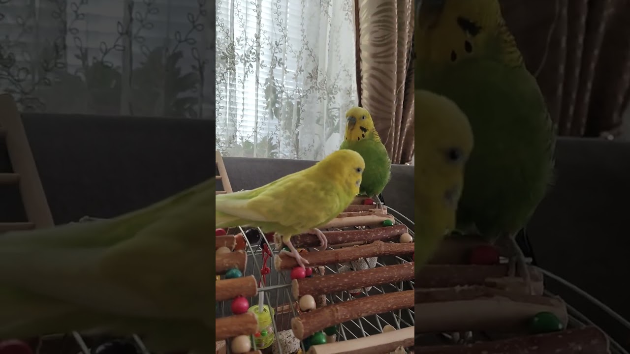 22 февраля 2026 г.