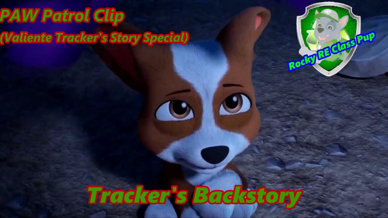PAW Patrol Clip (Valiente Tracker's Story Special) | Tracker's Backstory