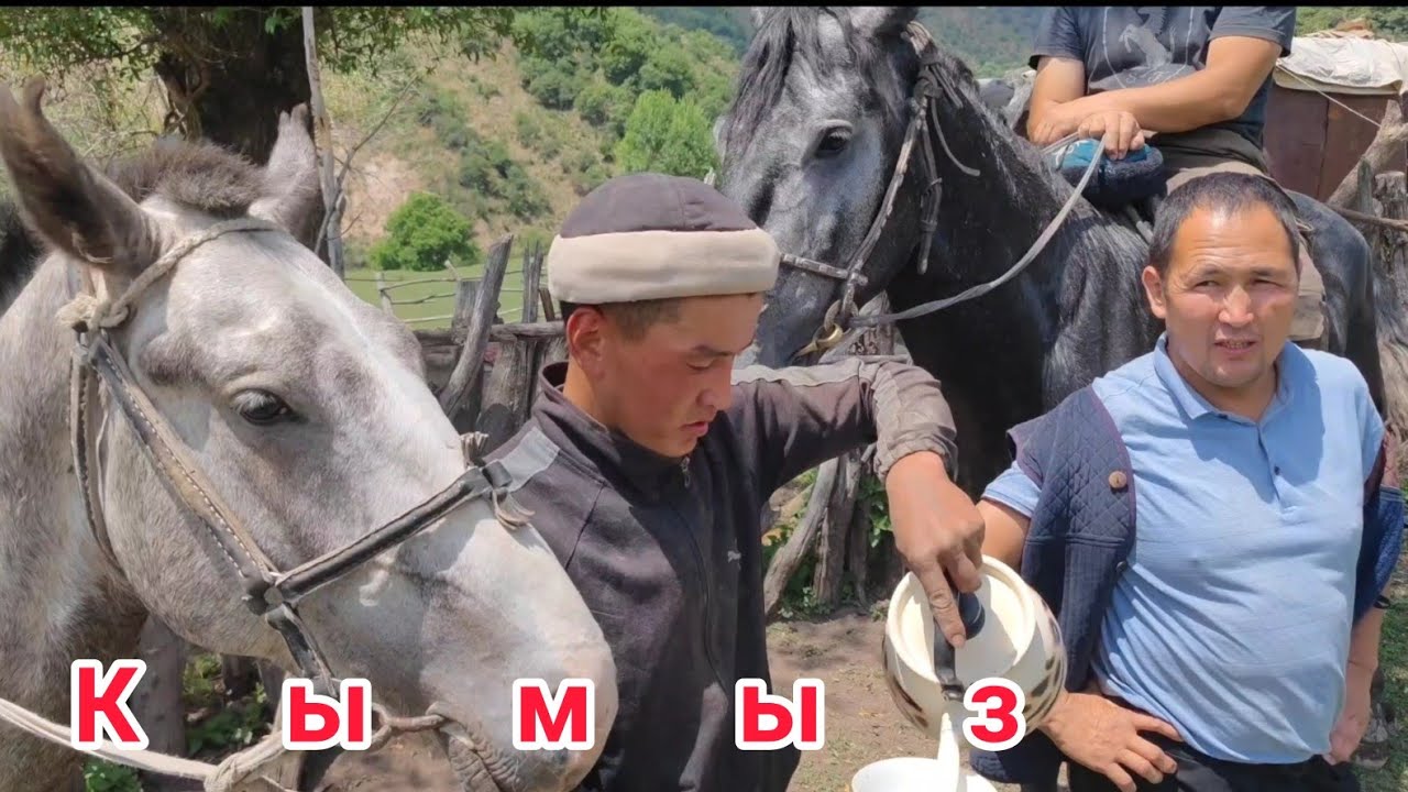 Кымыз