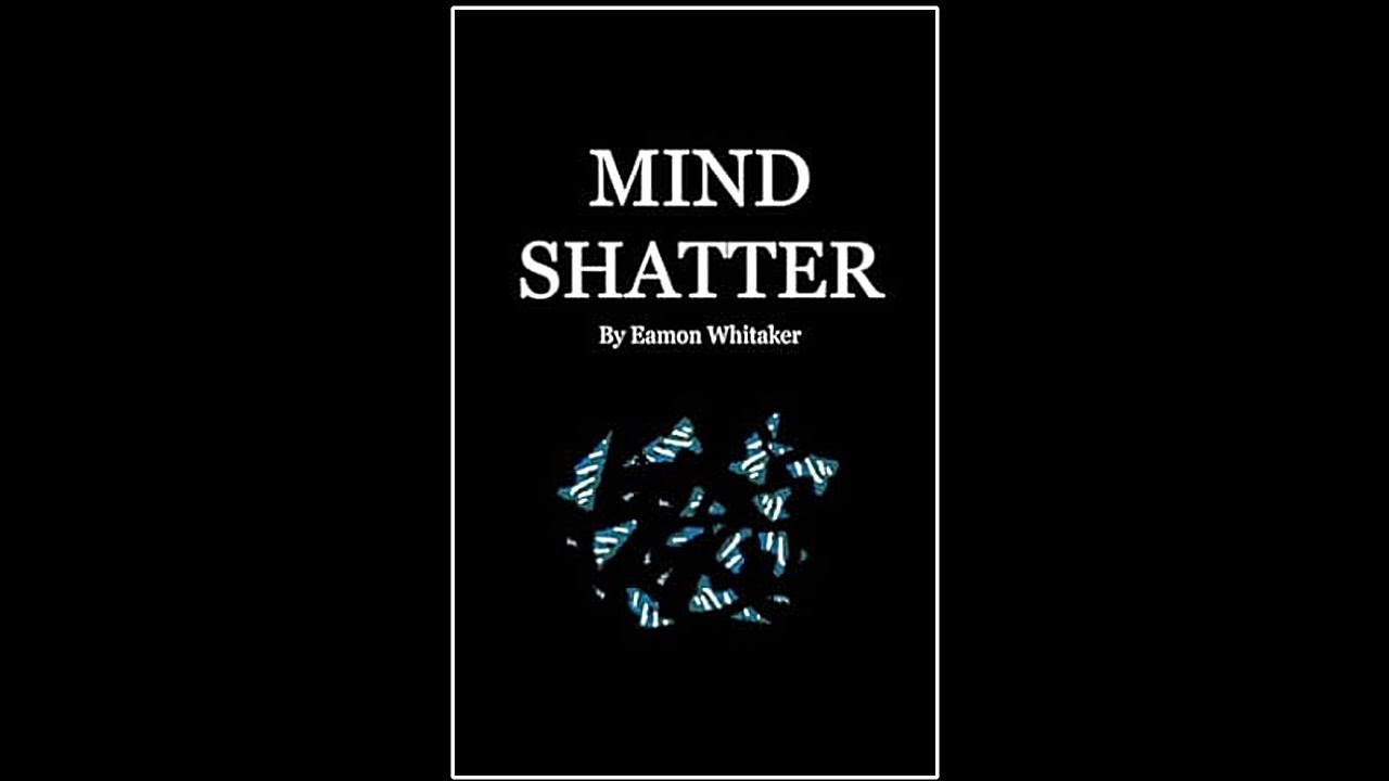 I wrote my first book...