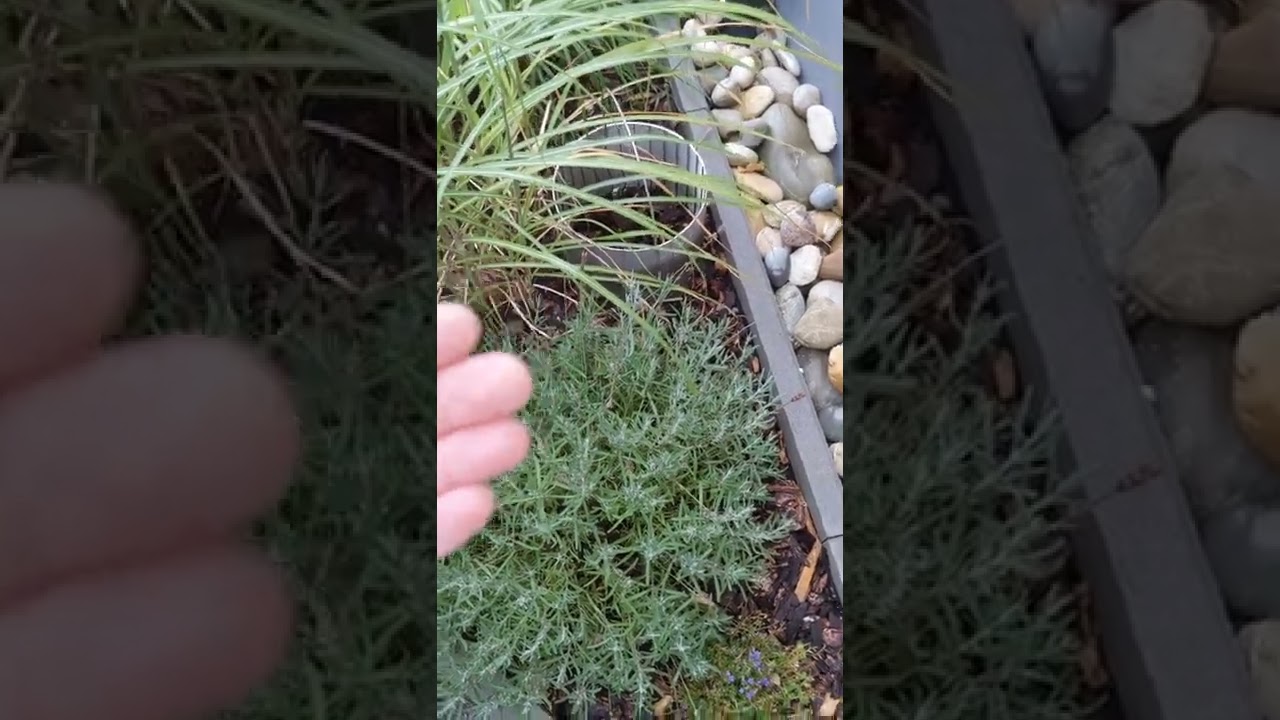 Erfahrungsbericht Regenwasserzisterne und Tauchdruckpumpe