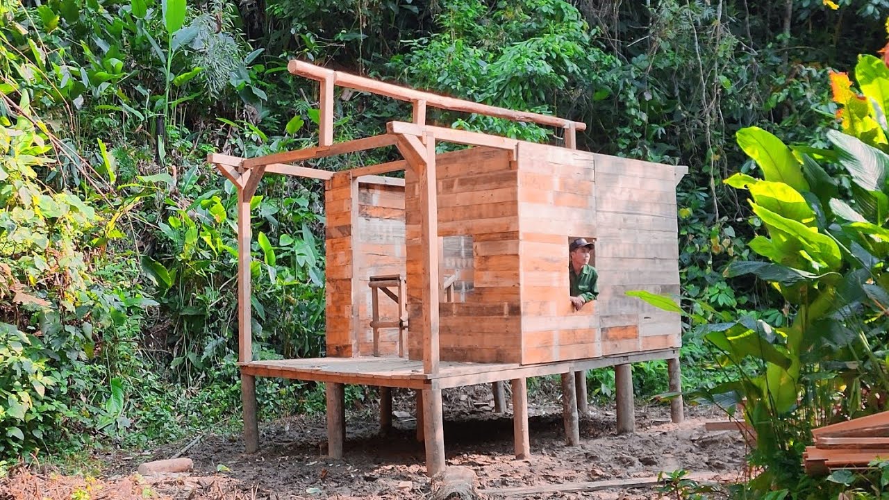 build a new wooden house in the forest,