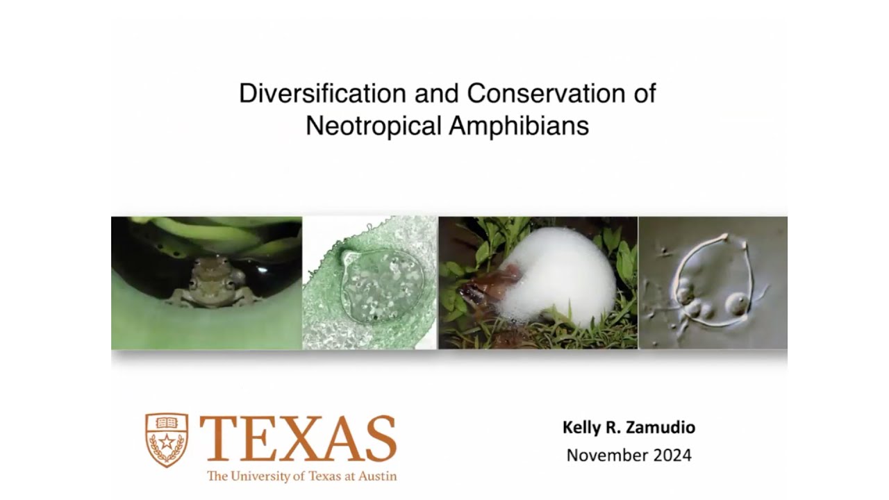 Dr. Kelly Zamudio •  Diversification and Conservation of Neotropical Amphibians • November 2024