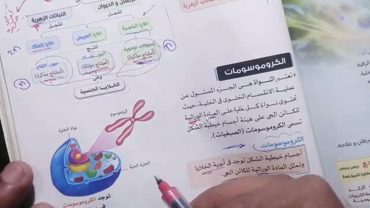 الثالث الإعدادي علوم الوحدة الأخيرة 