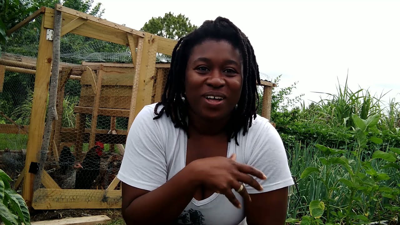 DIY Trellis using Chicken Wire
