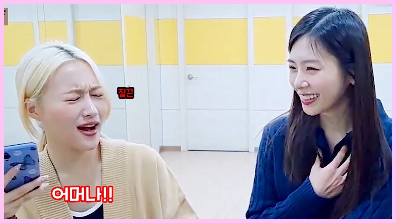하하.. Dog판이네.. (코 쓱) _ 드림캐쳐