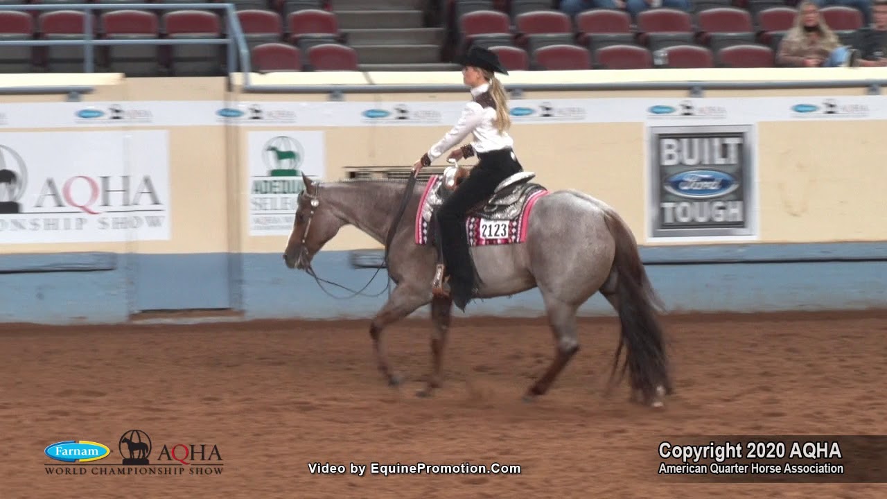2020 AQHA Amateur Western Riding