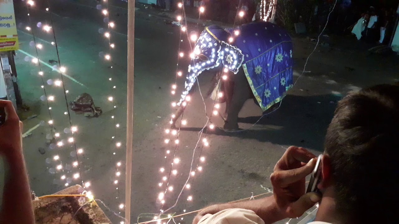 Bellan vila asala perahara (aliya ) බෙල්ලන් විල ඇසල පෙරහැර  අලියා කුලප්පු විම.2019/08/25