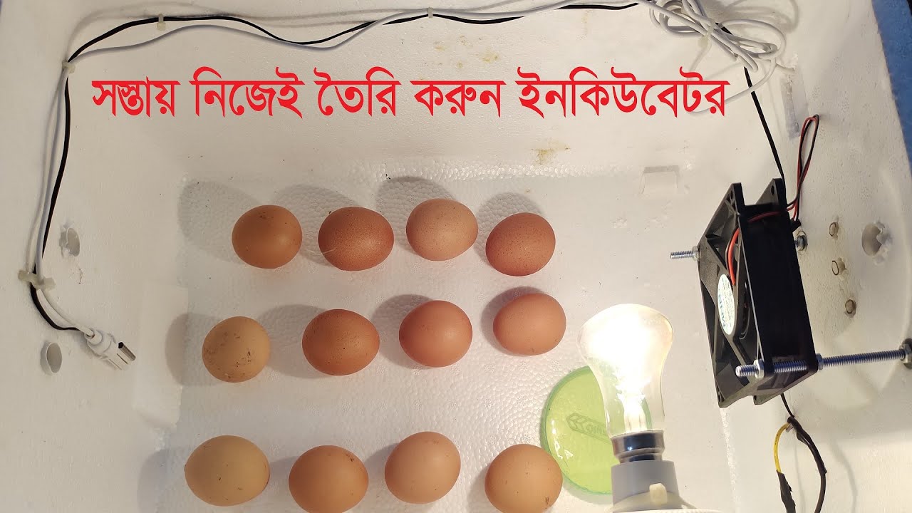 আমি কিভাবে ককসিট দিয়ে ইনকিউবেটর তৈরি করি ।  সস্তায় ইনকিউবেটর তৈরি । Incubator । Valo Bd