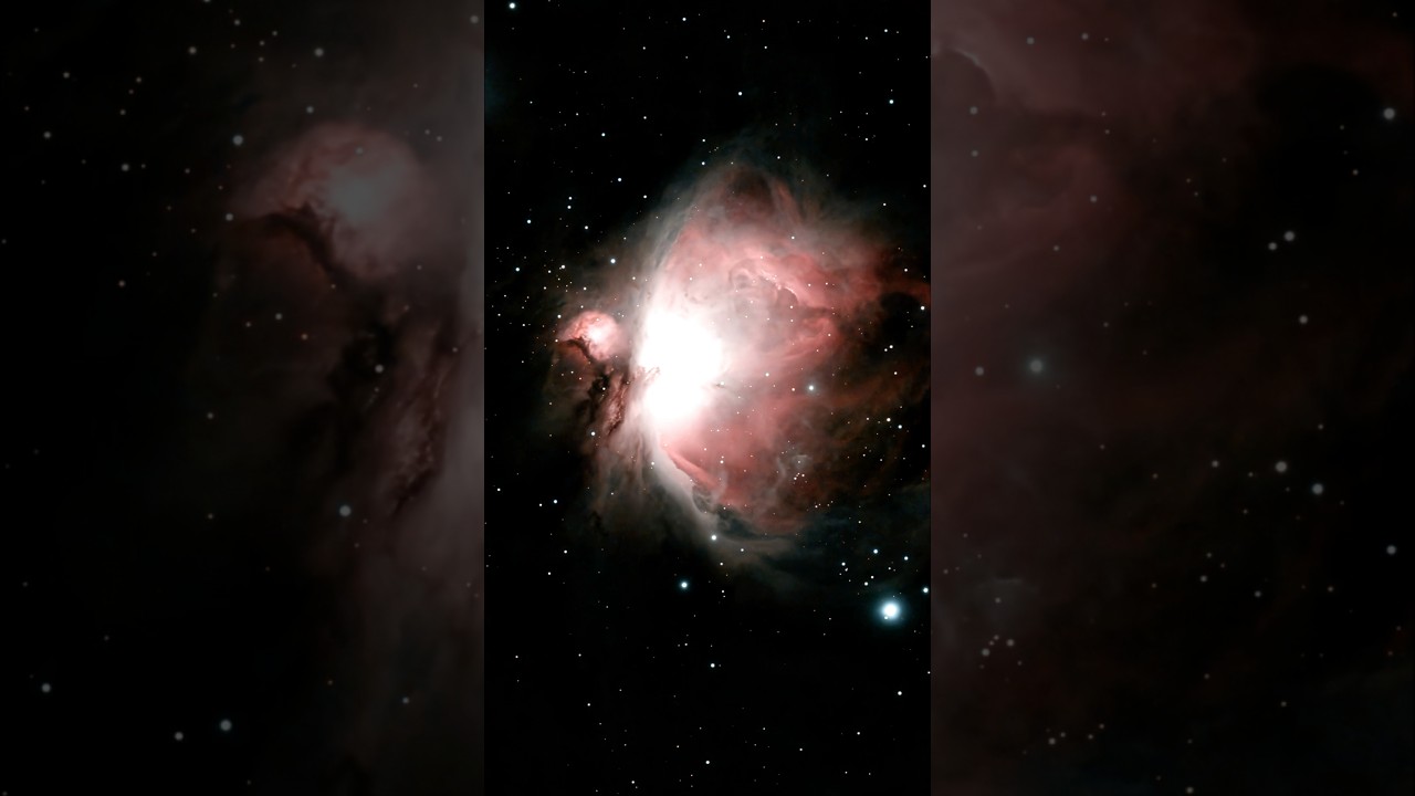 I captured the Orion Nebula from my backyard #shorts #space #nebula