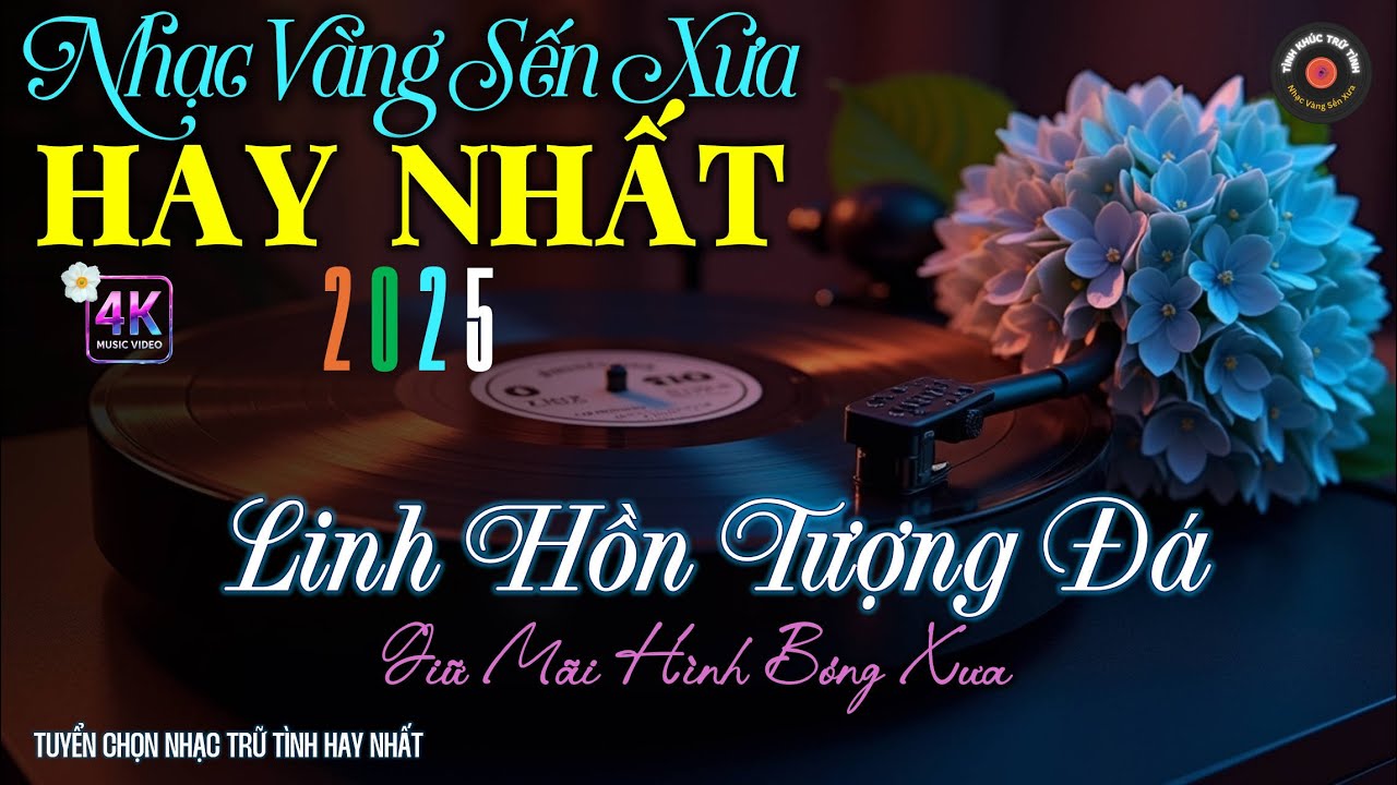 Nhạc TÌNH CA Trữ Tình BOLERO ĐỘC LẠ - HAY, MỚI NHẤT 2025 - Nhạc Vàng Sến Xưa CỰC ÊM TAI HIẾM CÓ