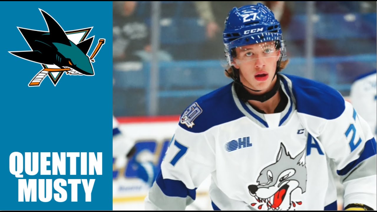NHL Prospects : Quentin Musty - 23-24 Highlights