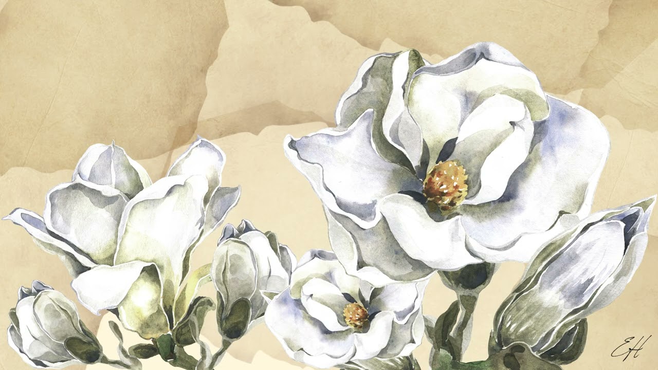 1 Hour Magnolia Watercolor Art 🌸 | Soft Floral TV Frame Art