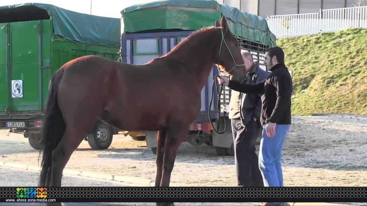09 02 15 feria csaballar