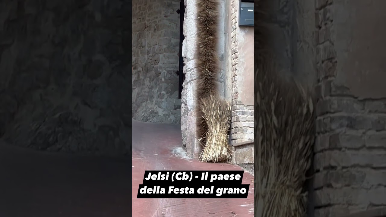 Jelsi il paese della festa del grano