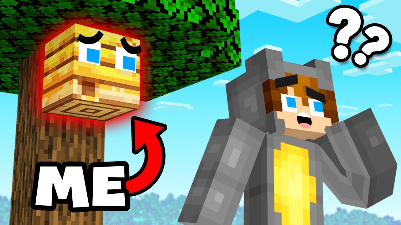 Hiding as Blocks from My Friends in Minecraft Hide & Seek!