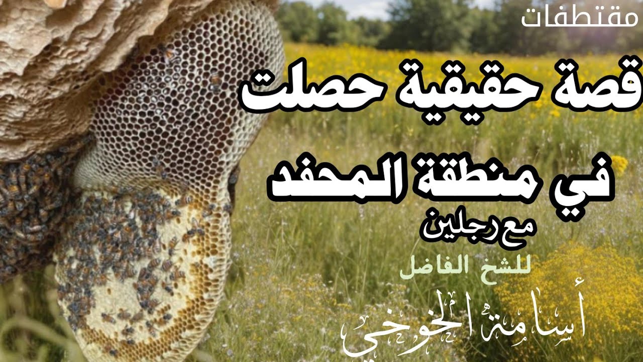 مقتطفات قصة حقيقية حصلت في منطقة المحفد باليمن مع رجلين /للشيخ أسامة الخوخي #قناة_ابوالخير_الكازمي 