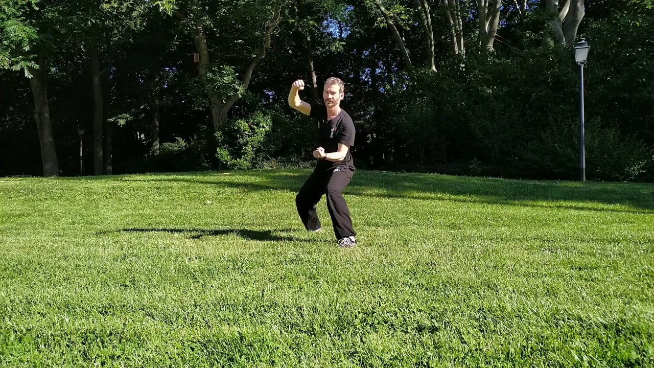 Forme en 8 mouvements du tai chi chuan style Chen (ba shi 八式)