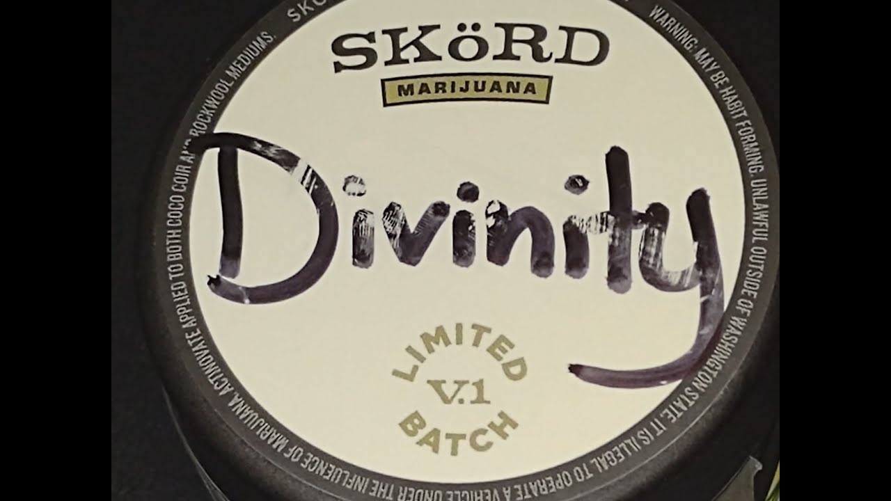 The Swanky Stoner - Divinity Review