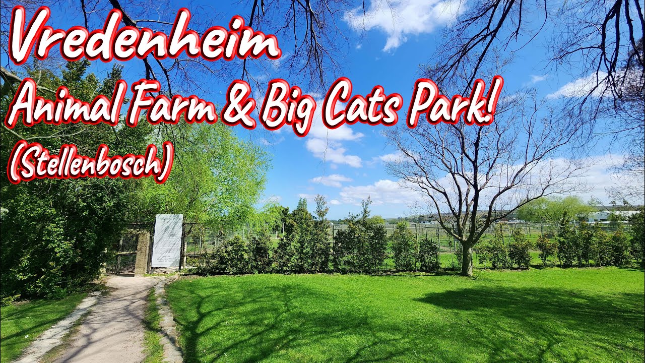 Vredenheim Animal Farm & Big Cats Park, Stellenbosch! S1 – Ep 527