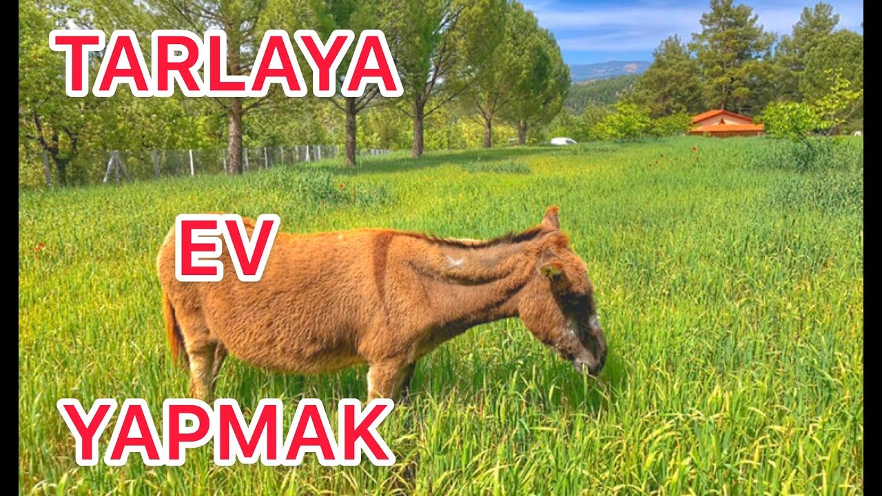 Köye Yerleşmek Tarlaya Ev Yapmak Nasıl Yapılır İzin Nasıl Alınır