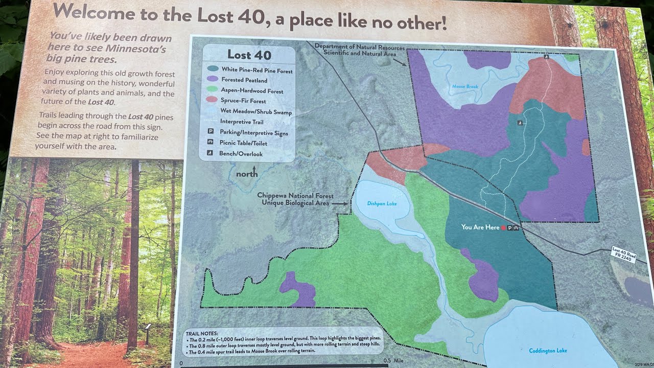 Road to the Lost Forty