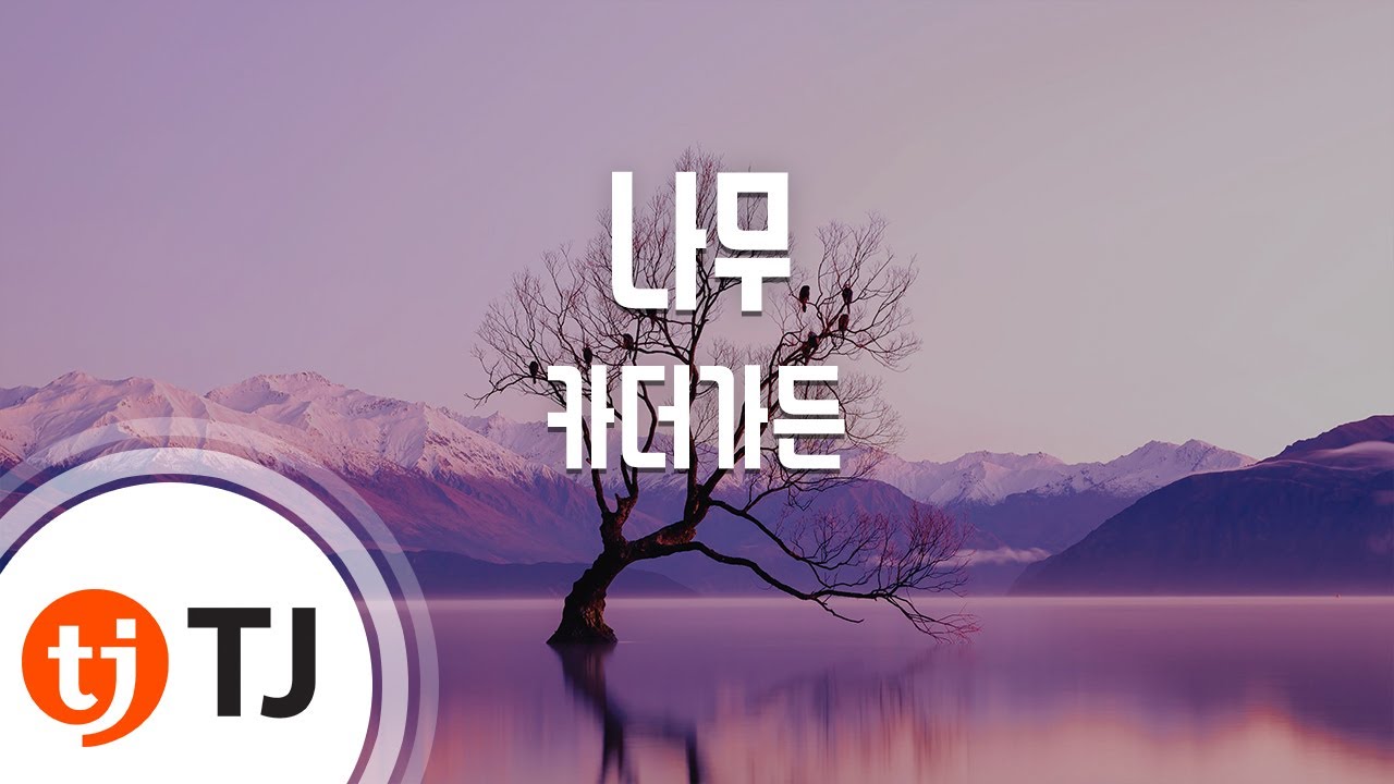 [TJ노래방 / 여자키] 나무 - 카더가든 / TJ Karaoke