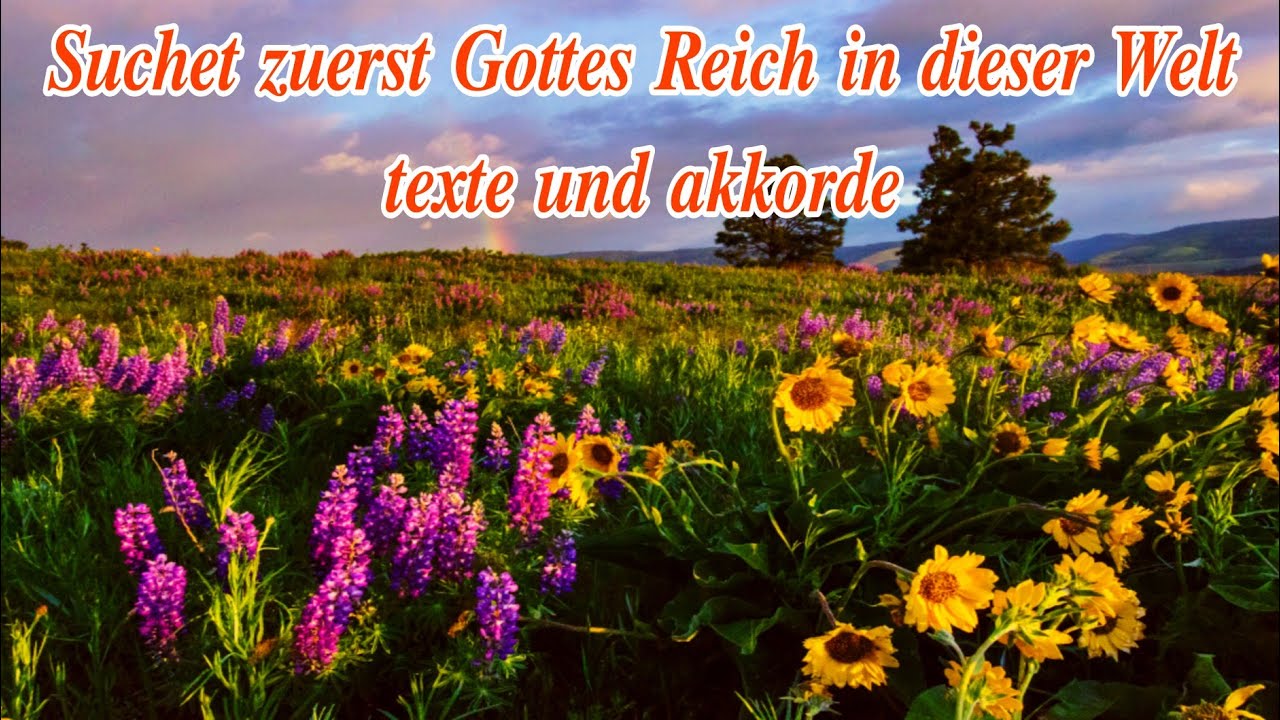 Suchet zuerst Gottes Reich in dieser Welt texte und akkorde @liliputklein