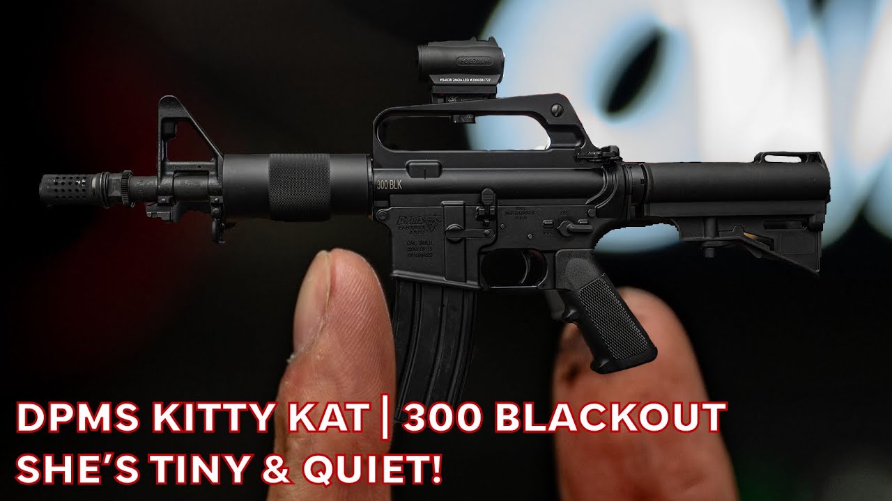 DPMS Kitty Kat | Почему так тихо?
