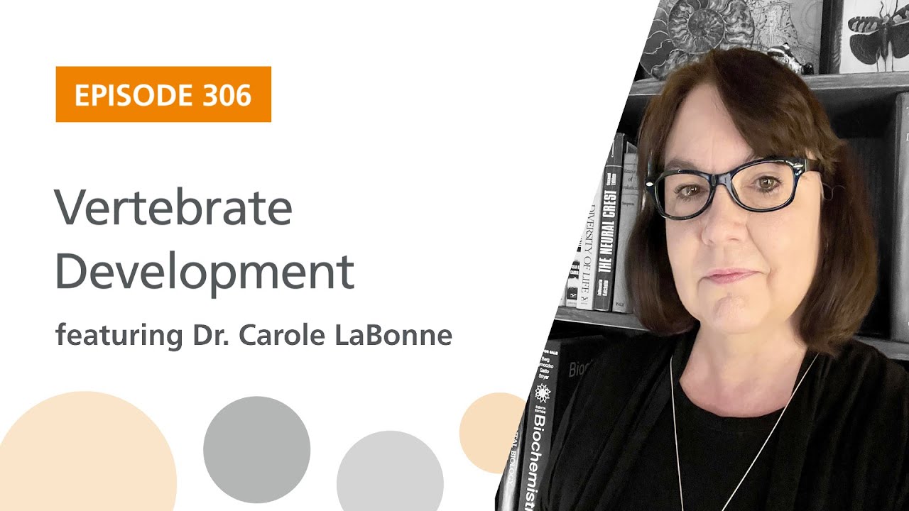 Vertebrate Development featuring Dr. Carole LaBonne | The Stem Cell Podcast
