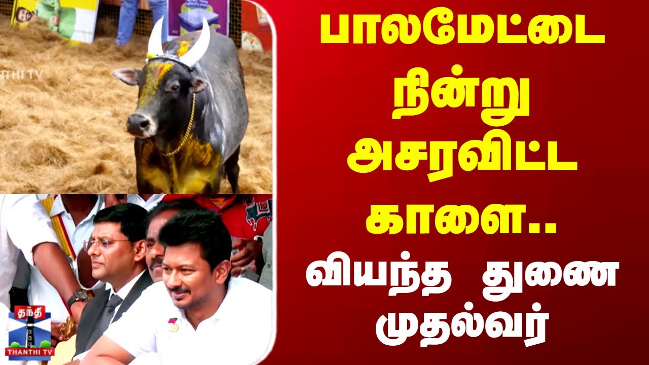 Palamedu Jallikattu 2026 | பாலமேட்டை நின்று அசரவிட்ட காளை.. வியந்த துணை முதல்வர்