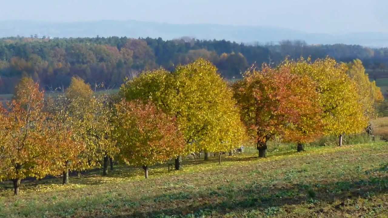 Wandern Franken: Herbstwanderung bei Kalchreuth