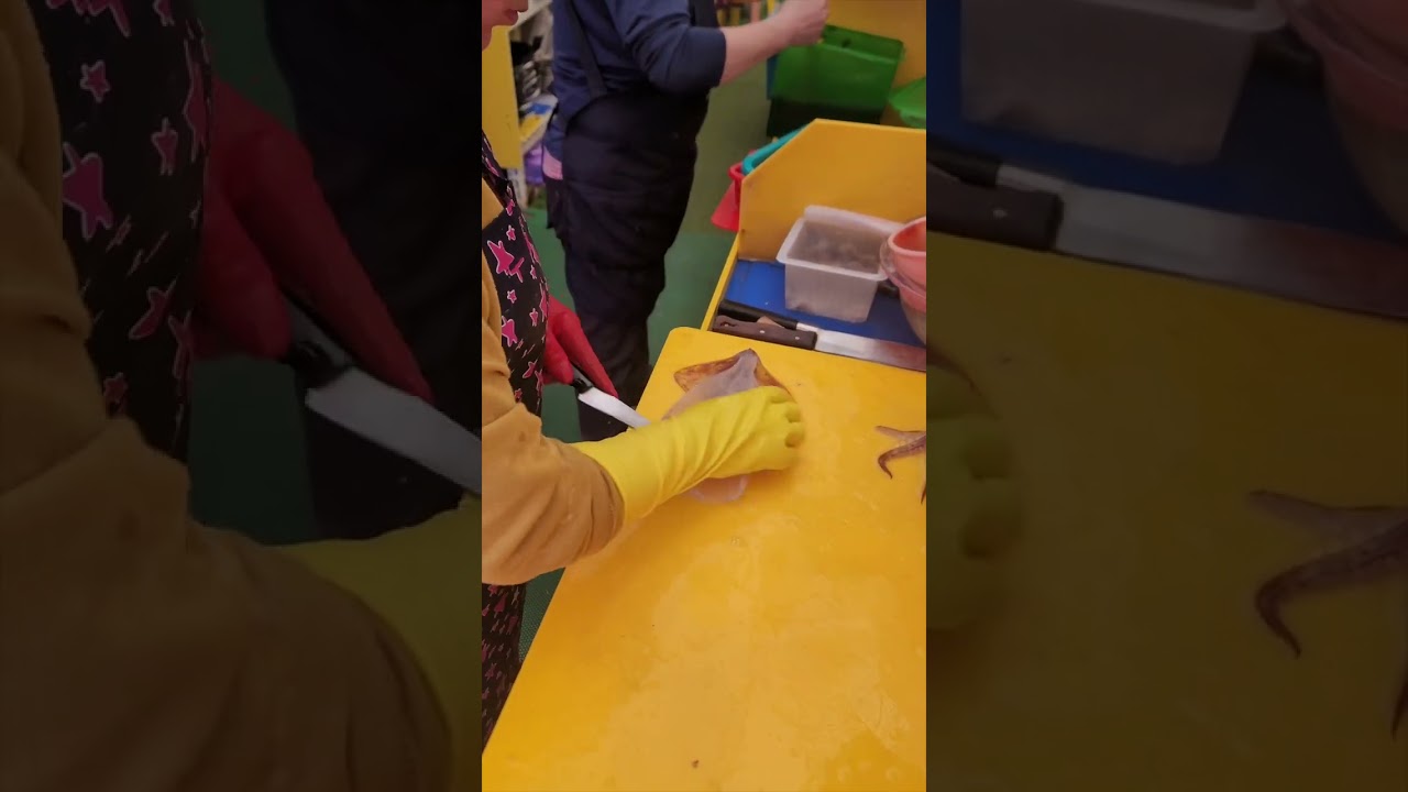 오징어 회썰기 달인! / Master of Squid Slicing - korean street food