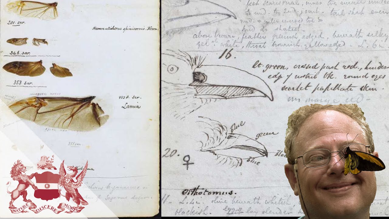Alfred Wallace's Remarkable Discoveries in the 'Malay Archipelago | George Beccaloni
