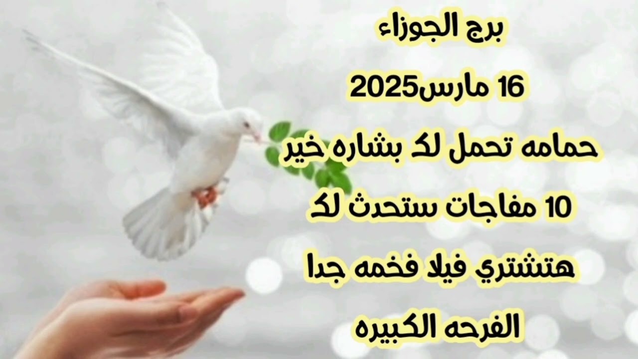 برج الجوزاء 16 مارس2025//حمامه تحمل لك بشاره خير 💫 10 مفاجات ستحدث لك 💫 هتشتري فيلا فخمه جدا