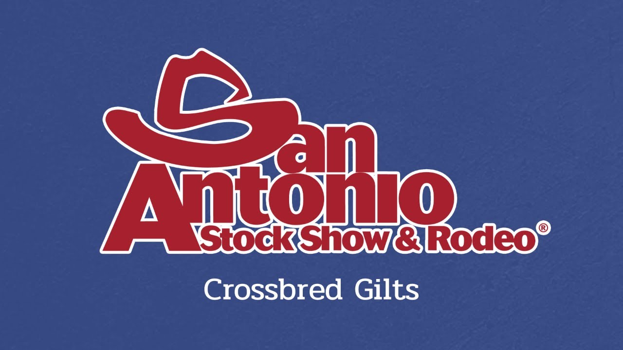 Crossbred Gilts - San Antonio Stock Show 2026